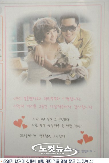 개미광고 이미지