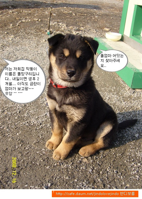 깜댕이 이미지